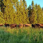 Dom wakacyjny Mazurski Papy Smerfa