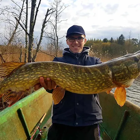 Mazurski Papy Smerfa Plaza Pomost Jezioro Prywatny Staw Gospodarstwo Pasieka