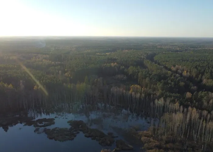 Mazurski Papy Smerfa *