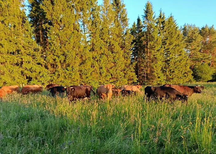 Holiday home Mazurski Papy Smerfa