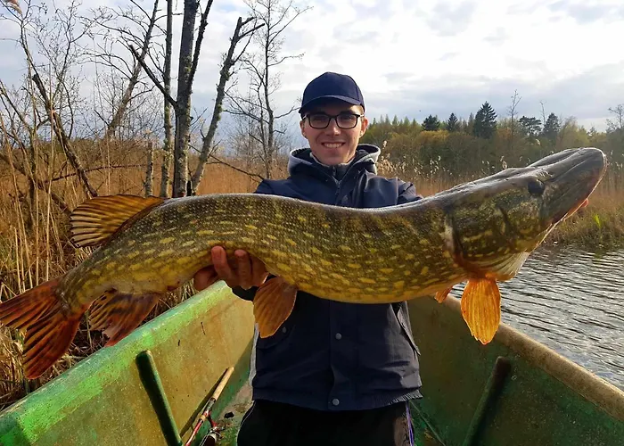 Mazurski Papy Smerfa Plaza Pomost Jezioro Prywatny Staw Gospodarstwo Pasieka