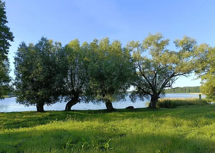 Mazurski Papy Smerfa Plaza Pomost Jezioro Prywatny Staw Gospodarstwo Pasieka Σπίτι διακοπών