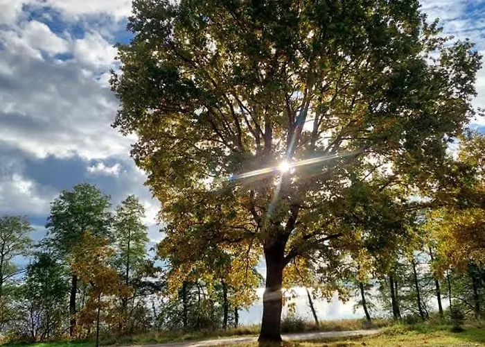 Mazurski Papy Smerfa Дом отдыха *